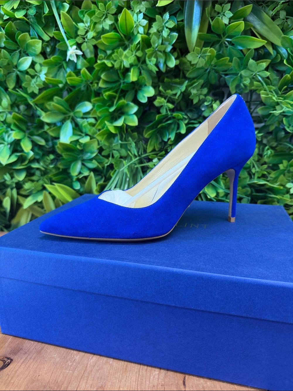 Sarah Flint Pointed Toe Stiletto Pump in Cobalt Blue